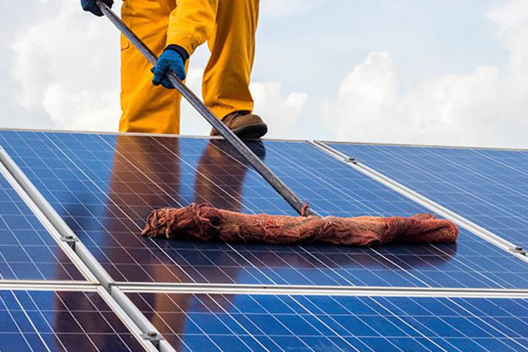 Gutter Cleaning company cleaning a solar panel